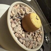 CIRPAS - 