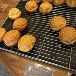 ファイブラン - 