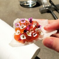 SHIROIYA the RESTAURANT - 