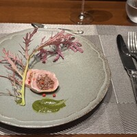 イリエスケープ - 