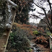 うかい鳥山 - 