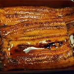 鰻の成瀬 上尾店 - 並アップ!　つやっつやっ‼