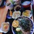 かもだカフェ - 料理写真:
