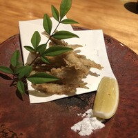 料理とワイン 音音 - 