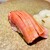 鮨 こしかわ - 料理写真: