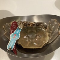 神田 雲林 - 