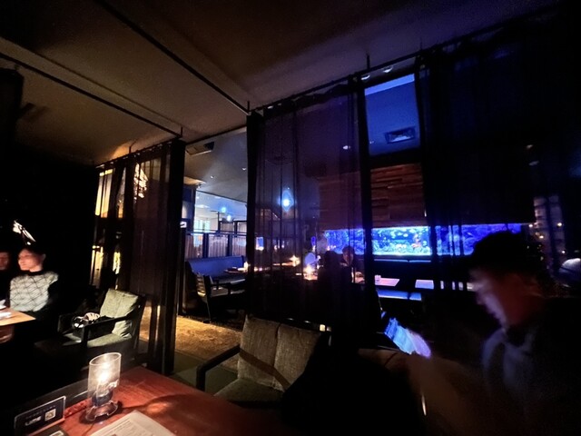 Aquarium Dining Shinjuku Lime photo 5