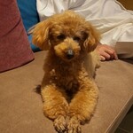 Regina Resort Karuizawa Mikage Yosui