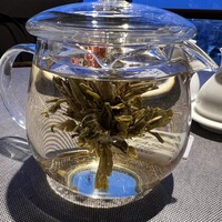 六本木 樓外樓 - 