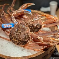 かにじぇんぬ 銀座 - 