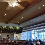 エッグスンシングス - 