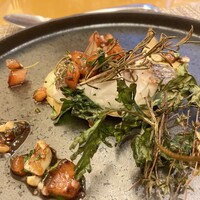 ヤマガタ サンダンデロ - 