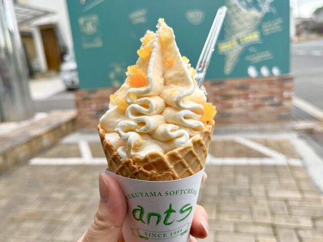 ふくやま ソフトクリーム アンツ （FUKUYAMA SOFTCREAM ants） - 福山