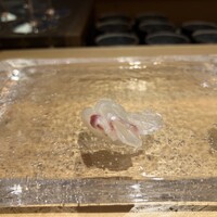 鮨 尚充 - 