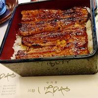 川越 いちのや - 