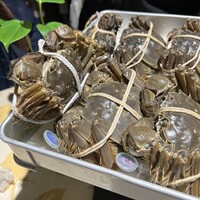 老香港酒家京都 -  老香港酒家京都 -