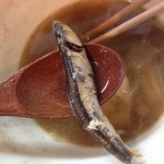 烈志笑魚油 麺香房 三く - かけラーメン（800円）麺の下に居た煮干し救出！