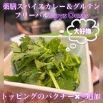 薬膳スパイスカレー＆グルテンフリーバルSpys Oasis - 