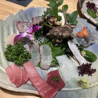 寿司割烹 黒潮 - 