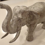 トーコーキッチン - 象さん