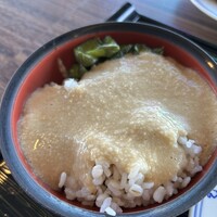 浅草むぎとろ 本店 - 