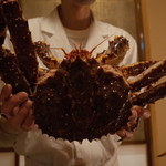 赤坂 きた福 - タラバガニ 今日は3kgクラス 2014.6.x