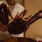 赤坂 きた福 - タラバガニ 今日は3kgクラス 2014.6.x