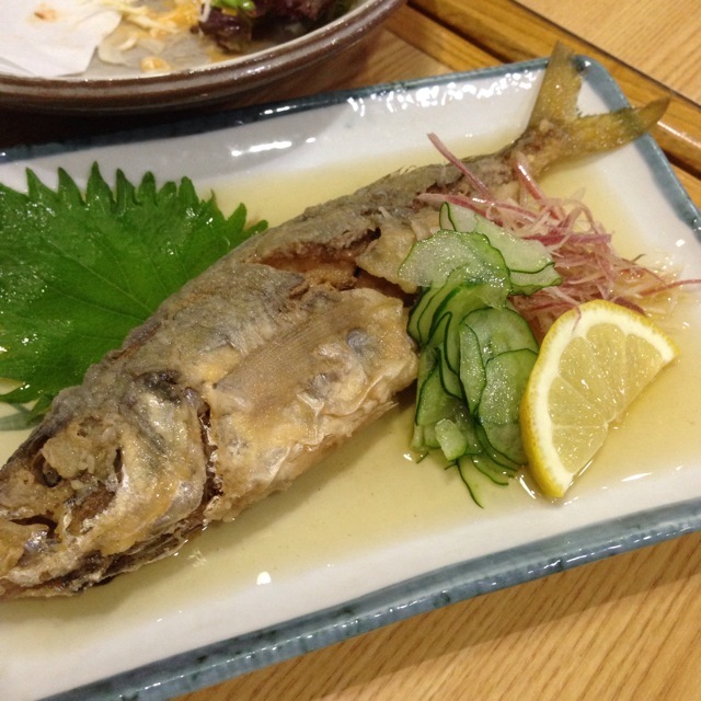赤猫 - 胡町/割烹・小料理  食べログ