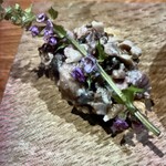 Santé - ②ウマー