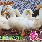 千里山荘 - 最上鴨