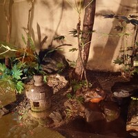 モリタ屋 木屋町店 - 