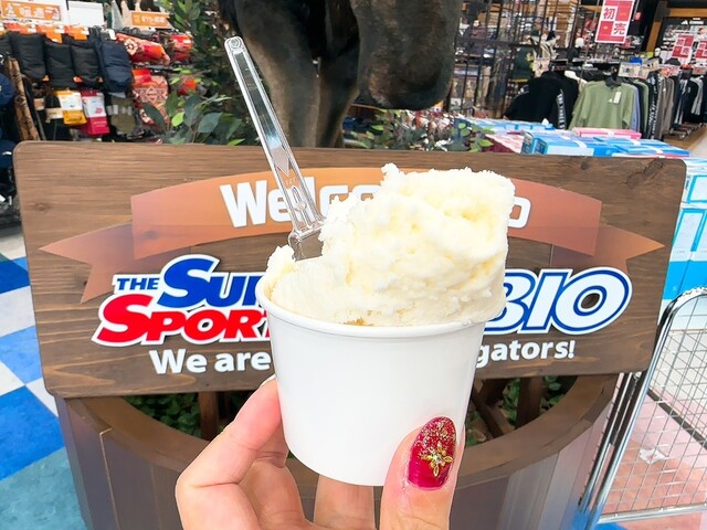 カザロ - 泉中央（ジェラート・アイスクリーム）