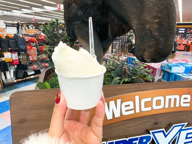 カザロ - 泉中央（ジェラート・アイスクリーム）の写真