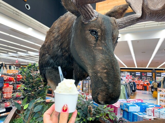 カザロ - 泉中央（ジェラート・アイスクリーム）の写真