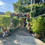 Great Shanghai Restaurant - 