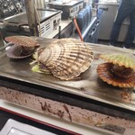 中義水産 - 【ミニバーベＱセットの】アッパ貝 (桧扇貝) ２個