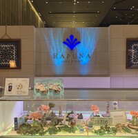 リュクス ダイニング ハプナ - 