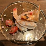 LA TIGRE - 天使海老のカルパッチョ