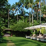 Club Med Phuket - 木の下になっているところが快適〜。