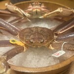 かにじぇんぬ 北新地 - 