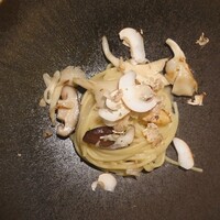 SCALAE - 