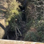 ニュー高根 - 店の脇を流れる小川…男女川の親戚？