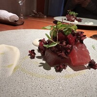 ecco - 