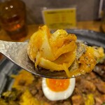 SPICY CURRY 魯珈 - 