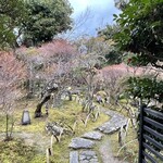 梅の花 太宰府別荘 自然庵 - 