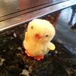 シャカ　ジェーワイ - 