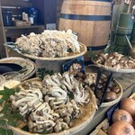 THE BASE GLAMPING YUGAWARA - 