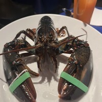 オッティモ・シーフード・ガーデン 新宿店 - 