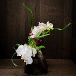 USHIGORO S. - ステキなお花♡