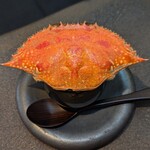 日本料理 TOBIUME - 